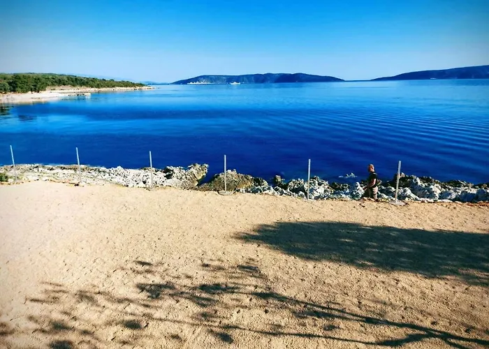 Olea Krk