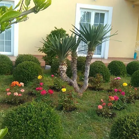 Olea Krk Apartment Krk Town